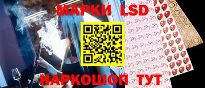 шишки Заволжье