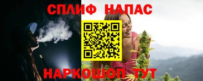 шишки Заволжье