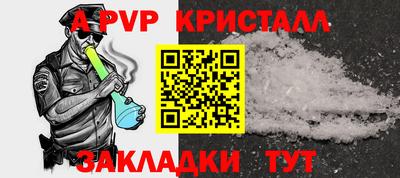 шишки Заволжье