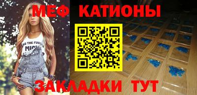 шишки Заволжье