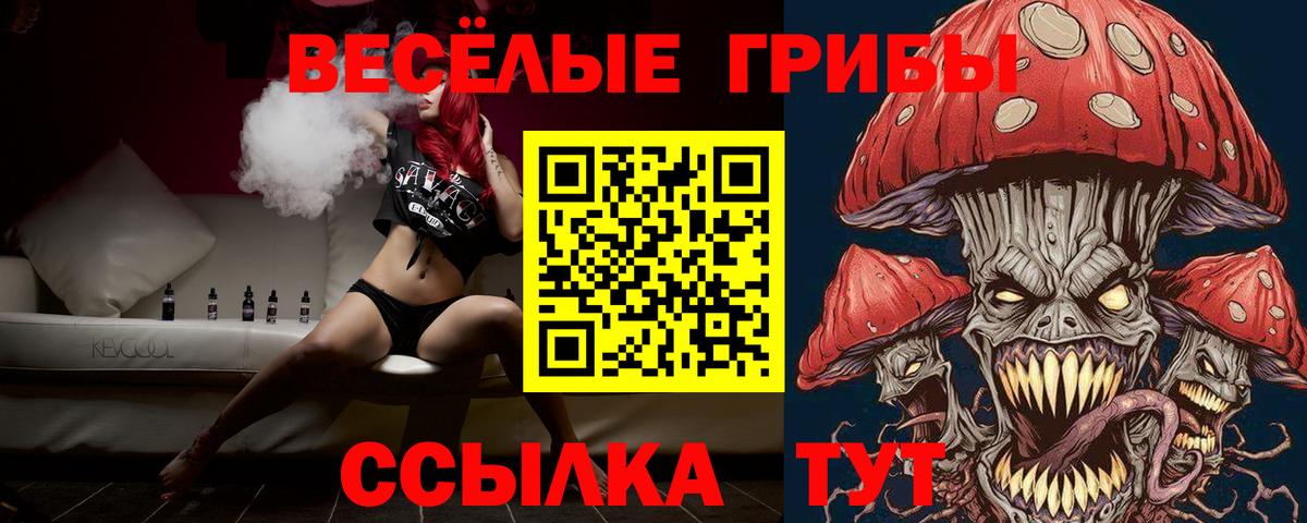 Галлюциногенные грибы GOLDEN TEACHER Междуреченск