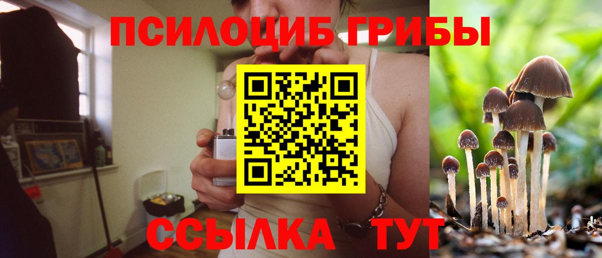 Галлюциногенные грибы мухоморы  Псилоцибиновые грибы мицелий  Междуреченск  Вход с VPN 
